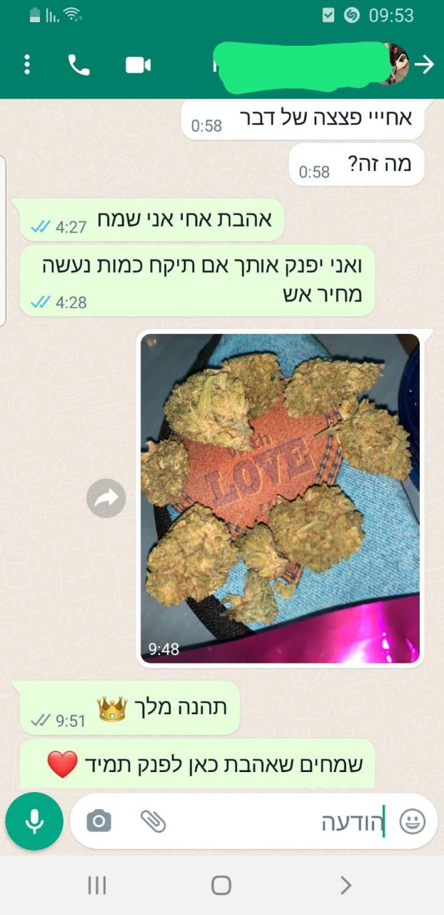 המלצת לקוחות לכיוונים לטלגרס 6