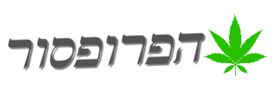 הפרופסור בוט כיוונים