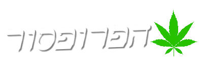 הפרופסור בוט כיוונים