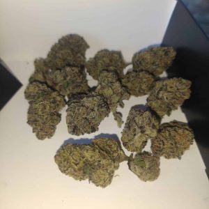 140ביפיאם (140BPM) – אינדיקה T22/C4