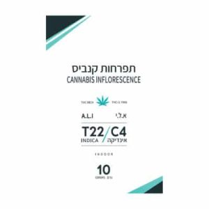 א.ל.י (A.L.I) – אינדיקה T22/C4