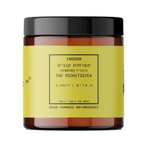 א.פריט (A.Fritt) – היבריד T22/C4