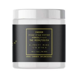 א.פריט מיני (A.Fritt Mini) – היבריד T22/C4