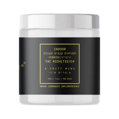 א.פריט מיני (A.Fritt Mini) – היבריד T22/C4