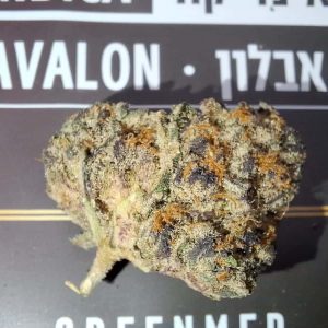 אבלון (Avalon) – אינדיקה T22/C4