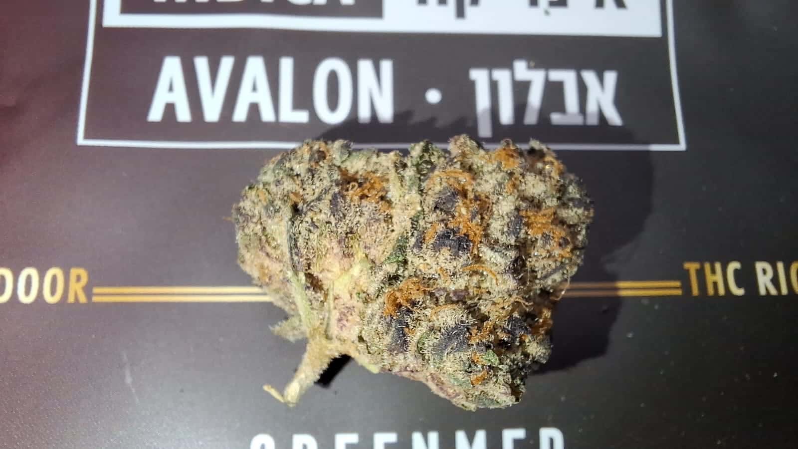 אבלון (Avalon) – אינדיקה T22/C4