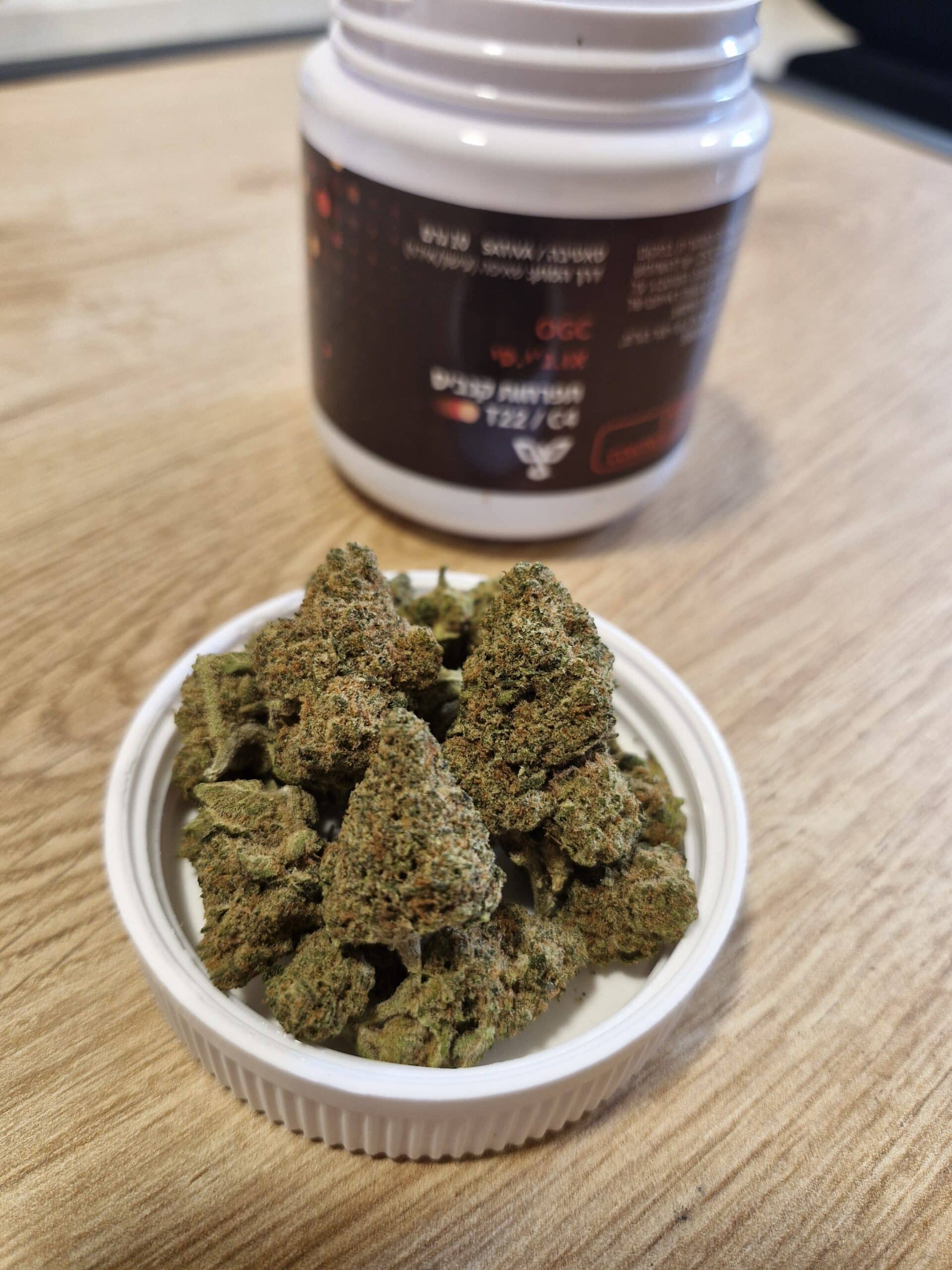 או.ג'י.סי (OGC) – סאטיבה T22/C4