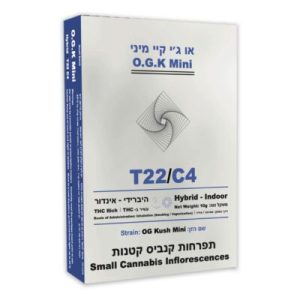 או ג'י קיי מיני (O.G.K Mini) – היבריד T22/C4