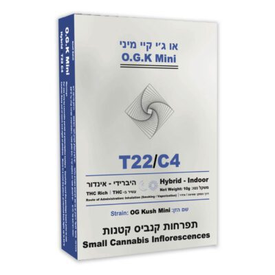 או ג'י קיי מיני (O.G.K Mini) – היבריד T22/C4