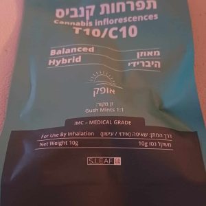 אופק (Ofek) – היבריד T10/C10