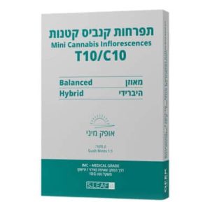 אופק מיני (Ofek Mini) – היבריד T10/C10