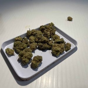 איזדורה (Isadora) – אינדיקה T22/C4