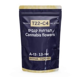 איי-13 (A-13) – סאטיבה T22/C4