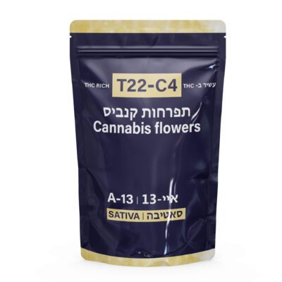 איי-13 (A-13) – סאטיבה T22/C4