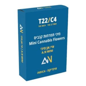 איי.אן מיני (A.N Mini) – אינדיקה T22/C4