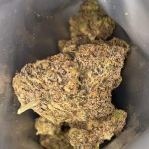 איי&אף (A&F) – היבריד T22/C4