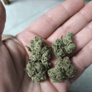 איי&אף מיני (A&F Mini) – היבריד T22/C4