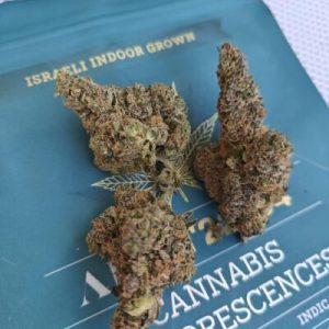 איי בי (AB) – אינדיקה T22/C4