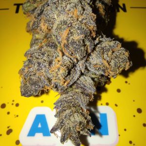 איי בי אן (ABN) – אינדיקה T22/C4