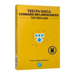 איי בי אן מיני (ABN Mini) – אינדיקה T22/C4