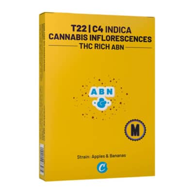 איי בי אן מיני (ABN Mini) – אינדיקה T22/C4