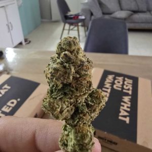 איי בי מארקר (A.B Marker) – סאטיבה T22/C4