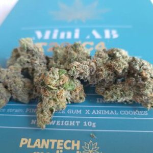 איי בי מיני (AB Mini) – אינדיקה T22/C4