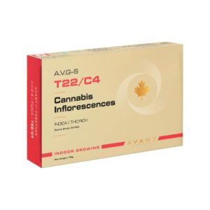 איי.וי.ג'י-אס (A.V.G-S) – אינדיקה T22/C4