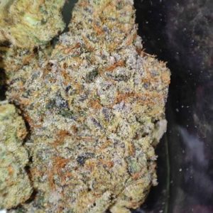 איי.וי גי (AVG) – היבריד T22/C4