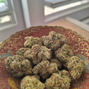 איי.סוש (I.Sosh) – אינדיקה T22/C4