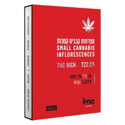 איי.סיטי מיני (I.City Mini) – אינדיקה T22/C4