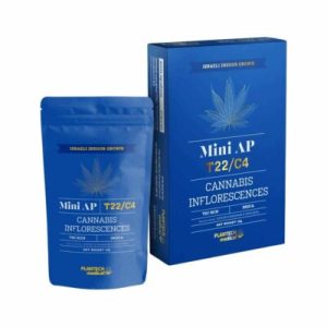 איי פי מיני (AP Mini) – אינדיקה T22/C4