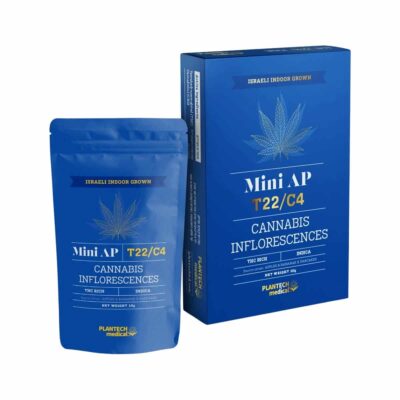 איי פי מיני (AP Mini) – אינדיקה T22/C4