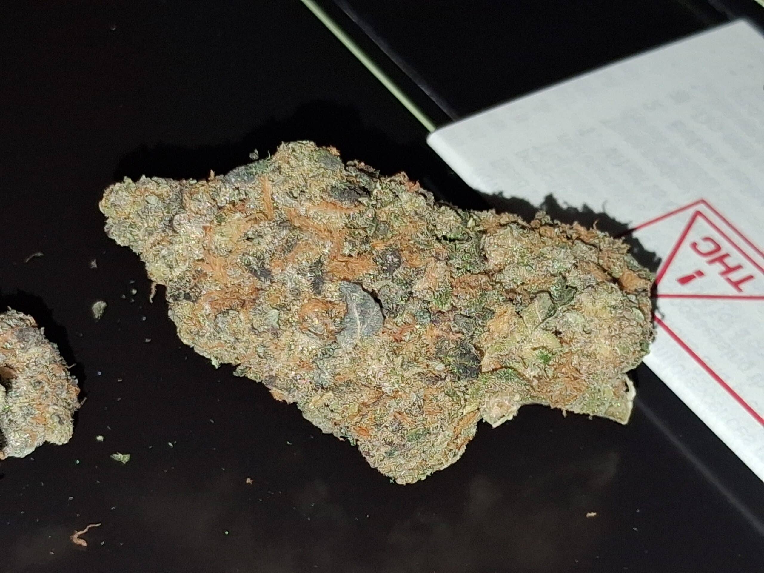 אייאנה (Aiyana) – אינדיקה T22/C4