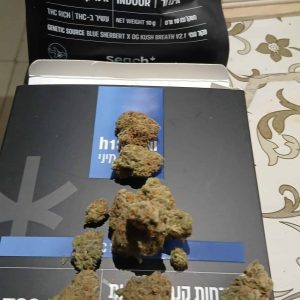 אייץ'18 מיני (H18 Mini) – אינדיקה T22/C4