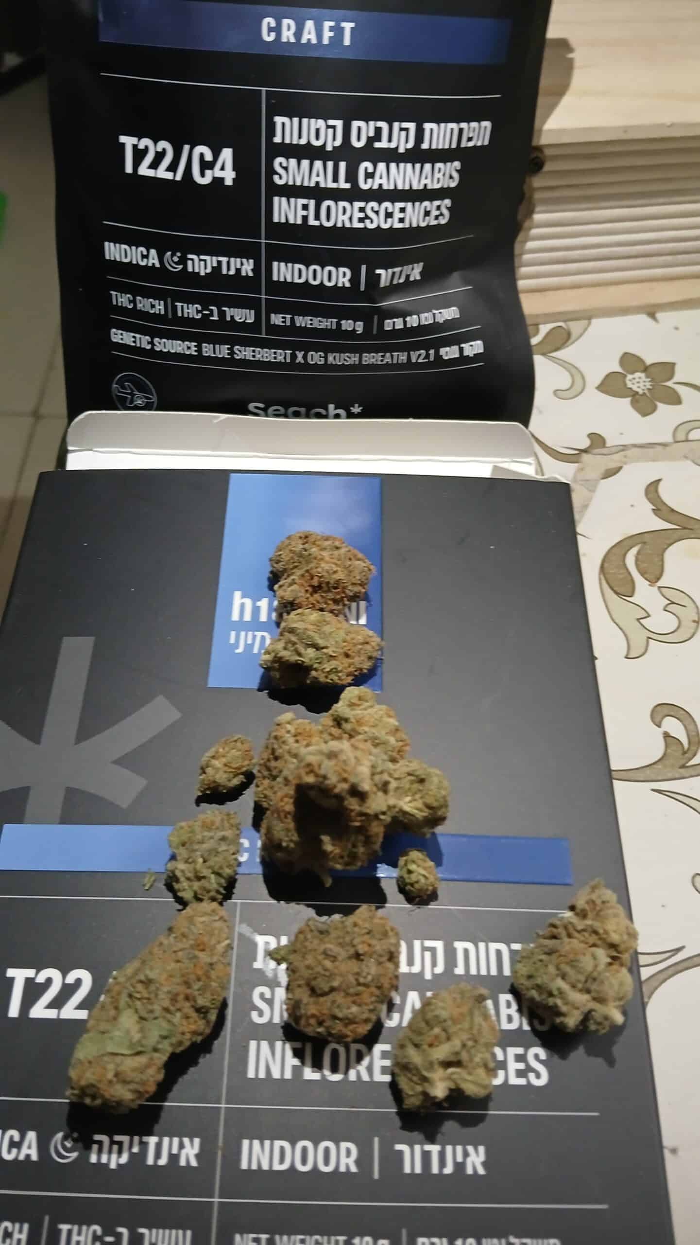 אייץ'18 מיני (H18 Mini) – אינדיקה T22/C4