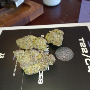 אייץ'.אם (H.M) – היבריד T22/C4