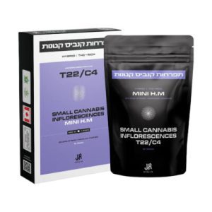 אייץ'.אם מיני (H.M Mini) – היבריד T22/C4