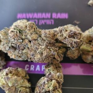 אייץ'.ריין (H.Rain) – אינדיקה T22/C4