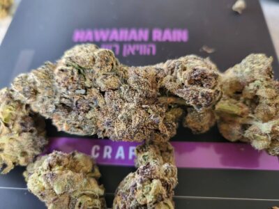 אייץ'.ריין (H.Rain) – אינדיקה T22/C4