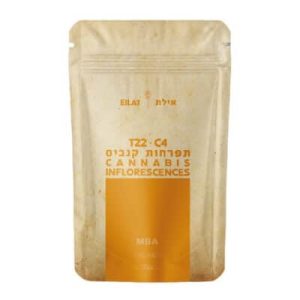 אילת (Eilat) – MBA – היבריד T22/C4