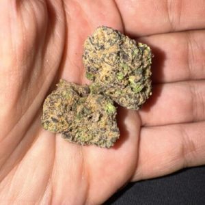 איץ' (Ich) – היבריד T22/C4