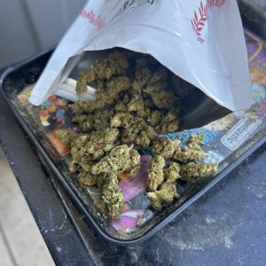 איקסורה אזול (Ixora Azul) – סאטיבה T22/C4