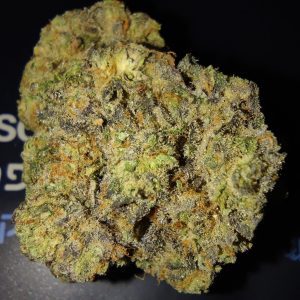 איקרו (Ikaro) – אינדיקה T22/C4