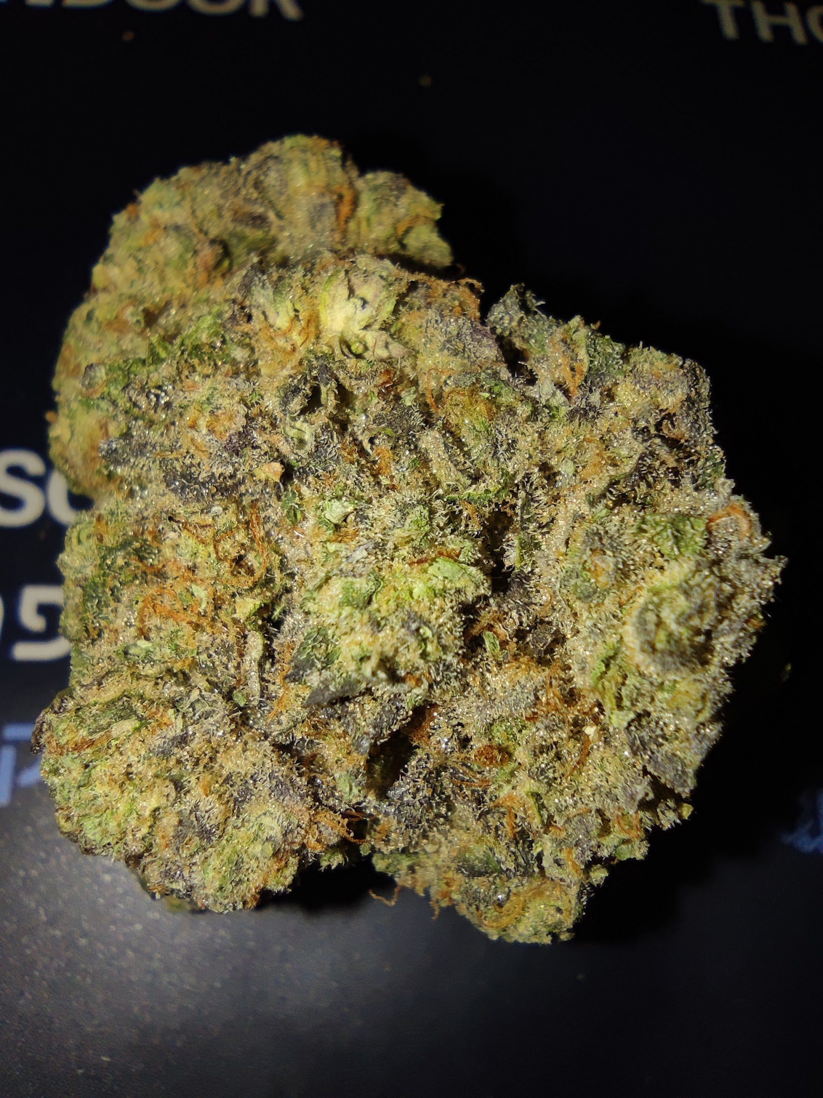 איקרו (Ikaro) – אינדיקה T22/C4