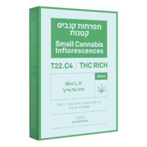 אל.אייץ' מיני (L.H Mini) – סאטיבה T22/C4