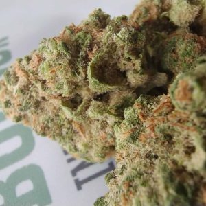 אל בולסון (El Bolson) – אינדיקה T22/C4