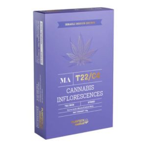 אם איי (MA) – היבריד T22/C4