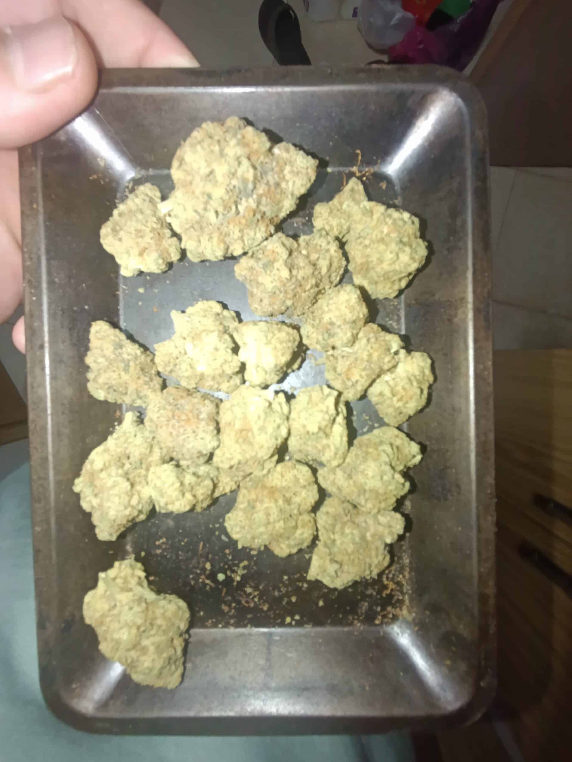 אם. אס (MS) – אינדיקה T22/C4