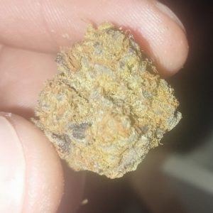 אם בי מיני (M.B Mini) – היבריד T22/C4